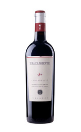 Вино Grupo Yllera Bracamonte Crianza 2015 0,75 л