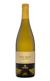 Вино Gerardo Cesari Salvalai Pinot Grigio 2021 0,75 л